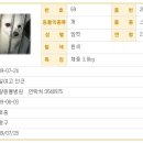 예일동물병원 이미지