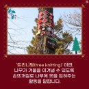 ◇ 2022.12.14(수) 인천 남동둘레길 1코스 '함께 나눔길'을 역방향 (81번~1번)으로 걷다 !!! ^^ 이미지