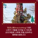 남동81 이미지