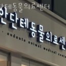 안단테 동물의료센터 이미지