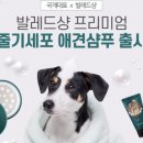 글로벌샹