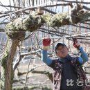 임영환 농장 이미지