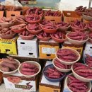 상무금요시장 옆 이미지