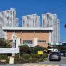 천안여자중학교 Daum카페