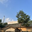 대궐숯불장어촌 | 화성 장어맛집 대궐숯불장어촌 후기