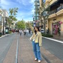 배그로브(BAE GROVE) | LA 여행 1일차 더그로브몰 트레이더조 그리피스 천문대