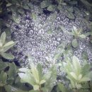 동신대학교 미래학사 앞 이미지