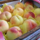 방개농장 이미지