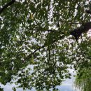 만석공원 이미지