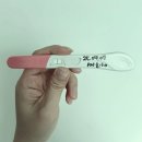 김밥마실공단점 | [임밍아웃]임신 25년 12월 뱀띠아기 예정,임신 5주~6주차 증상,입덧,부평구보건소 임신등록