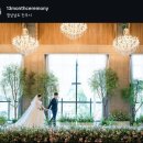 13월 | W05. 창원 본식 메인스냅 업체 계약 후기 | 13월프로젝트