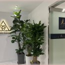 트리니티 피트니스 이미지