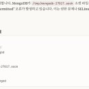 MongoDB 실행 오류 해결 이미지