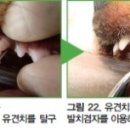 로얄에이알씨(주) 이미지