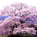 글로벌코리아행정사사무소 이미지