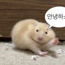 구병원 이미지
