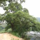 묵은저수지 이미지