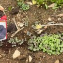 지안농장 이미지