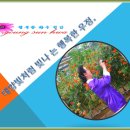 예뻐라 이미지