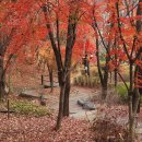 한때-아름다운 시간 이미지