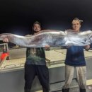 호주공인중개사사무소 이미지