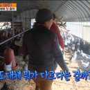 고려청계