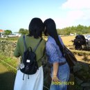 경보목장 이미지