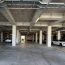 6261 | 포항 호미곶 카페 패럿커피앤아이스크림｜휴양지 느낌 가득한 신상 카페 솔직 후기