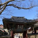 파랑새여행사 - 중구 중앙길 192 | 파랑새여행사