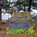 효돈동-7 이미지