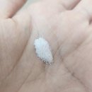 건강과 행복 | [락토핏 구매후기] 유산균(프로바이오틱스)으로 장 건강과 세로토닌 행복 호르몬도 챙겨보자