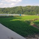 사월2리 이미지