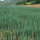 창수농장 이미지