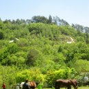 속사초등학교 이미지