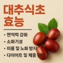 영농조합법인 정선아리원식품 | 대추식초 효능: 건강을 챙기고 입맛을 사로잡는 천연 발효식품