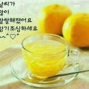 메이플트리