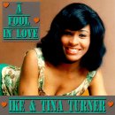 A Fool In Love - Tina Turner - 이미지