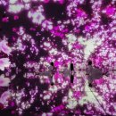 랩Flowers - 안산시 단원구 원본로3길 24 | 랩Flowers