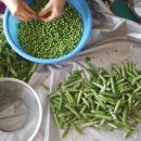 왕자농장 이미지