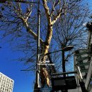 움직이는 매력LEGO 과학원리(초3~5학년) | [서울] 서울시립과학관의 셔틀버스와 과학 경험