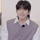 인더캐리어