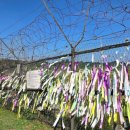 63개 시민사회단체 “교황 방북제안 환영, DMZ 방문 기대” 한목소리 [7/15 고양신문] 이미지