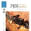 자연사 이미지