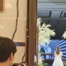 드로마틱