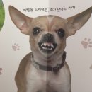 아 이미지