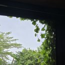 숲바 네이버블로그