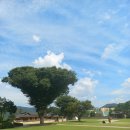 다산정약용유적지입구 | [경기도 남양주]가볼만한 곳 다산 정약용 유적지 탐방 후기