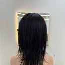 빗질해줄개 이미지