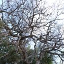 서복.내기 이미지