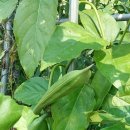 태안농장 이미지